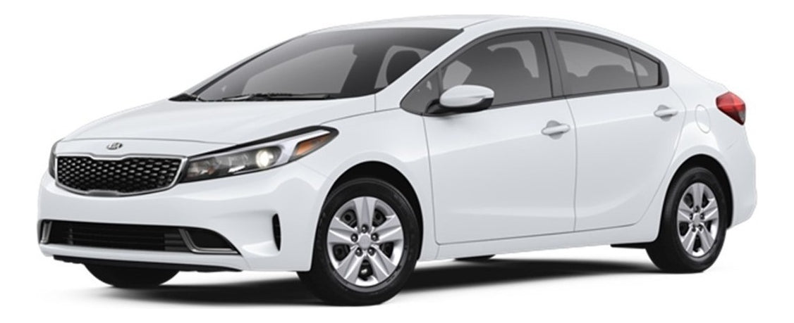 Rejilla Central Forte 2017 2018*