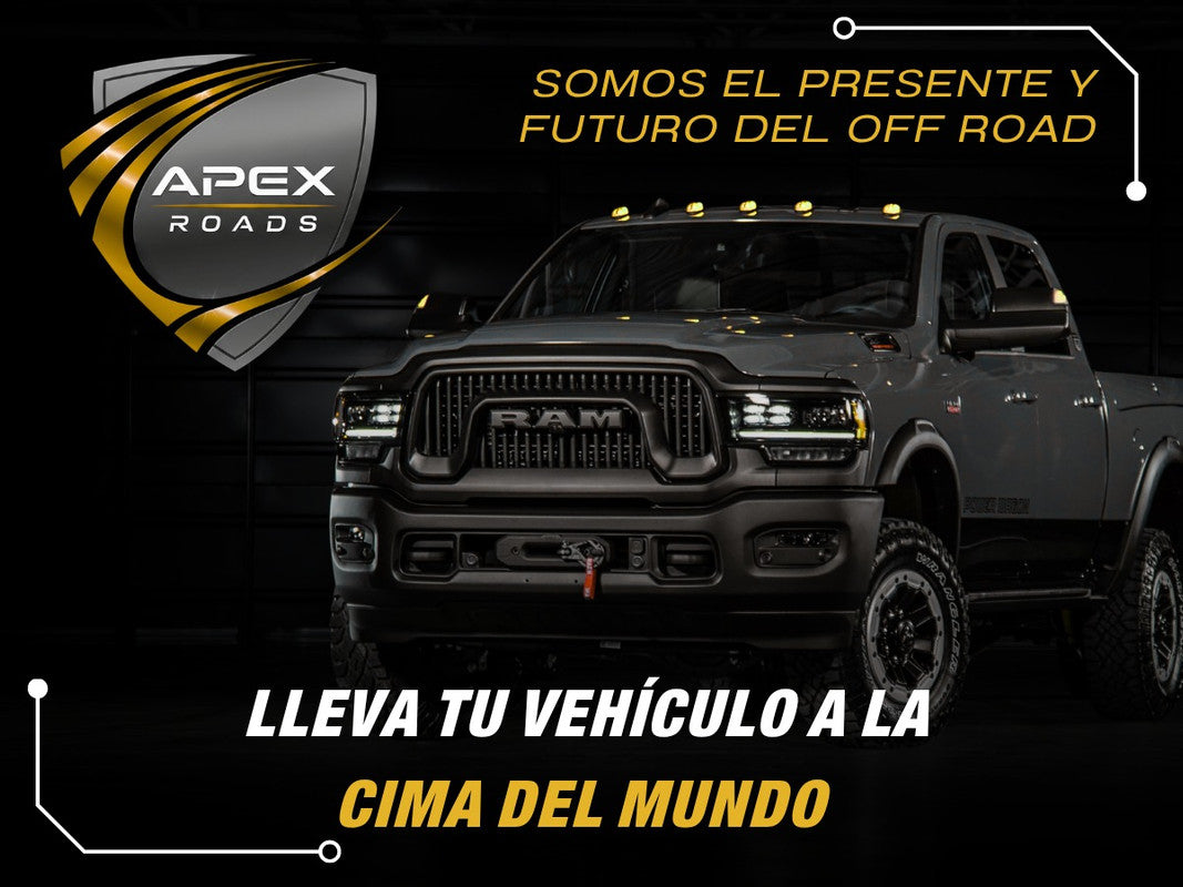 Aleron De Cajuela De Gol 2013